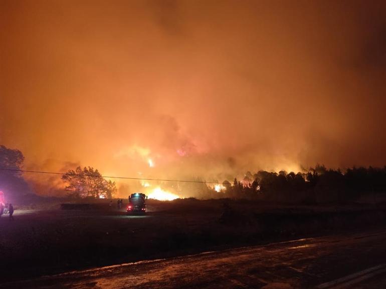Bursada orman yangını; 14 saatte söndürüldü