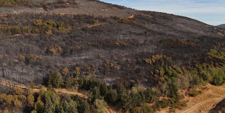 Bursada orman yangını; 14 saatte söndürüldü