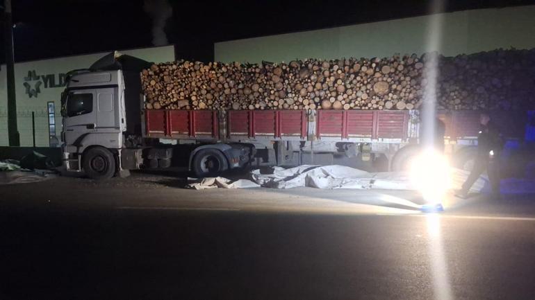 Brandayı toplarken otomobilin çarptığı TIR sürücüsü öldü