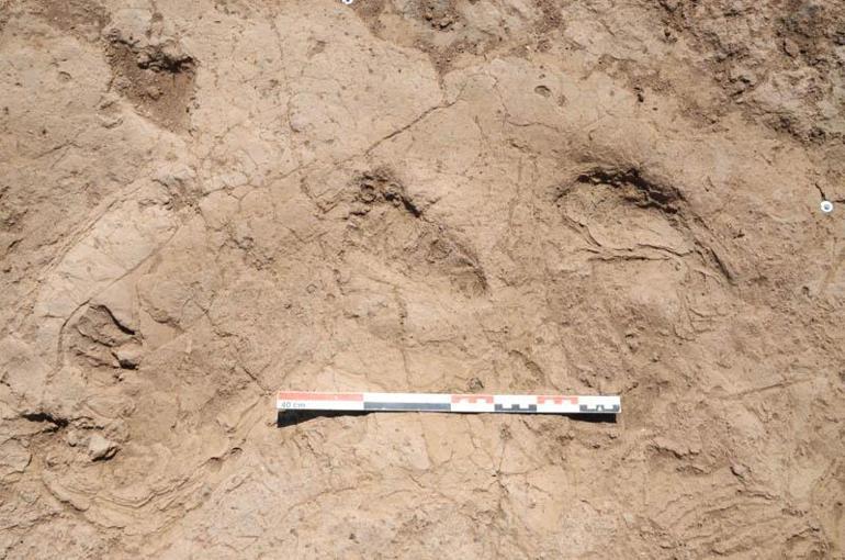 Bakan Ersoy: 7 bin yıl önce atılan adımlar yeniden gün yüzünde