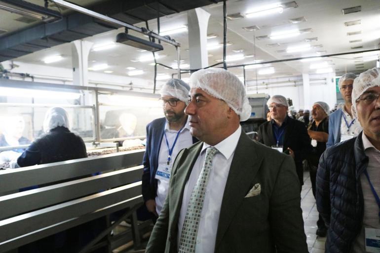 Marmarabirlik, zeytinyağı ile çikolata üretecek