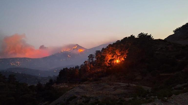 Silifkedeki orman yangınına ilişkin 4ü tutuklu 7 sanık hakim karşısında