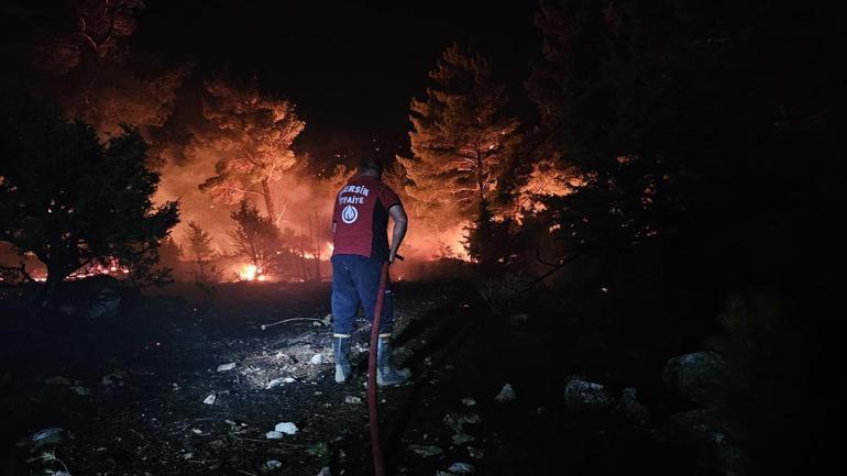 Silifkedeki orman yangınına ilişkin 4ü tutuklu 7 sanık hakim karşısında