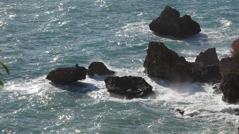 Kayalıkta mahsur kaldı, ekipleri beklemeden yüzerek kıyıya çıktı