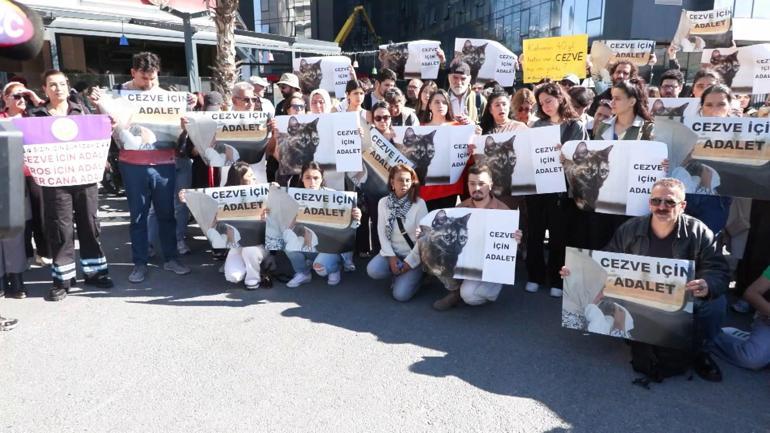 Başakşehirde kediye işkence davasında karar: Sanık hakkında 3 yıl 8 ay hapis cezası