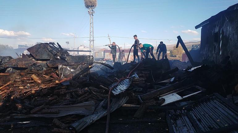 Ardahan’da çıkan ağır yangınında 23 hayvan öldü