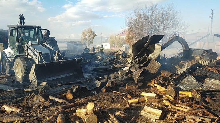 Ardahan’da çıkan ağır yangınında 23 hayvan öldü