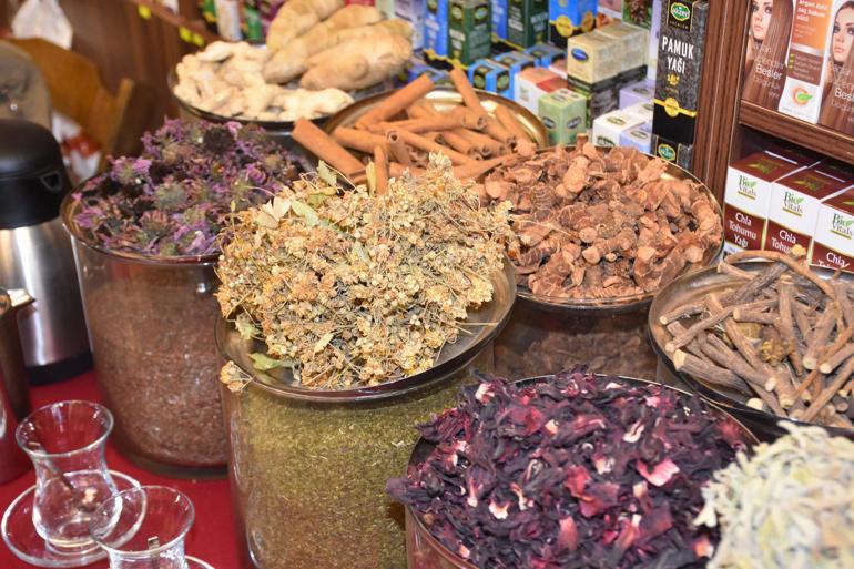 Prof. Dr. Şener: Kış çaylarında toksin riski var