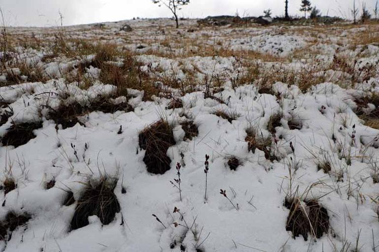 Boluda, Kartalkayanın zirvesi karla kaplandı