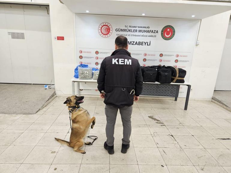 Edirne Hamzabeyli Gümrük Kapısında 105 kilo esrar ele geçirildi