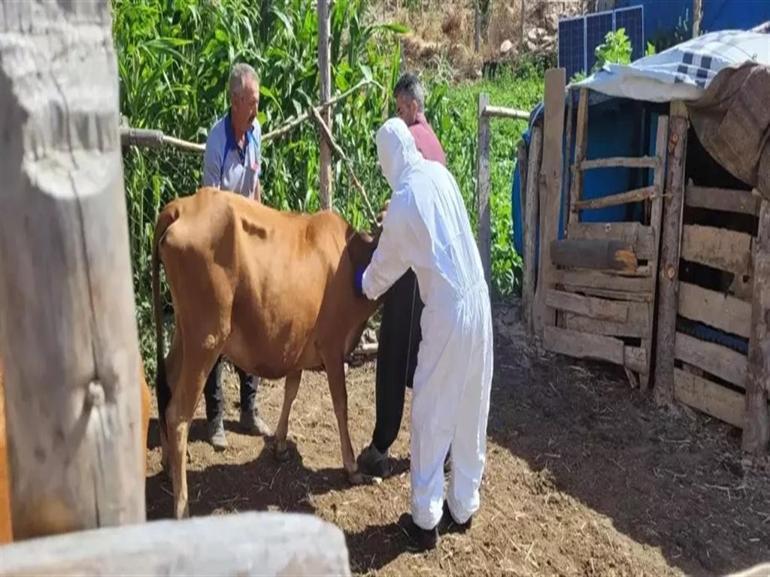 Dünya Gıda Günü’nde şap kaynaklı hayvansal gıda eksikliği uyarısı