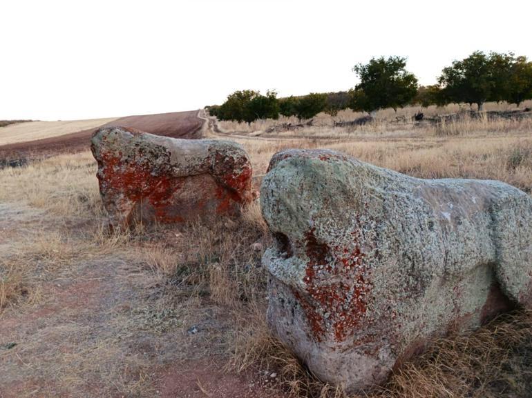 4 bin yıllık 2 Aslantaş için taşınma kararı