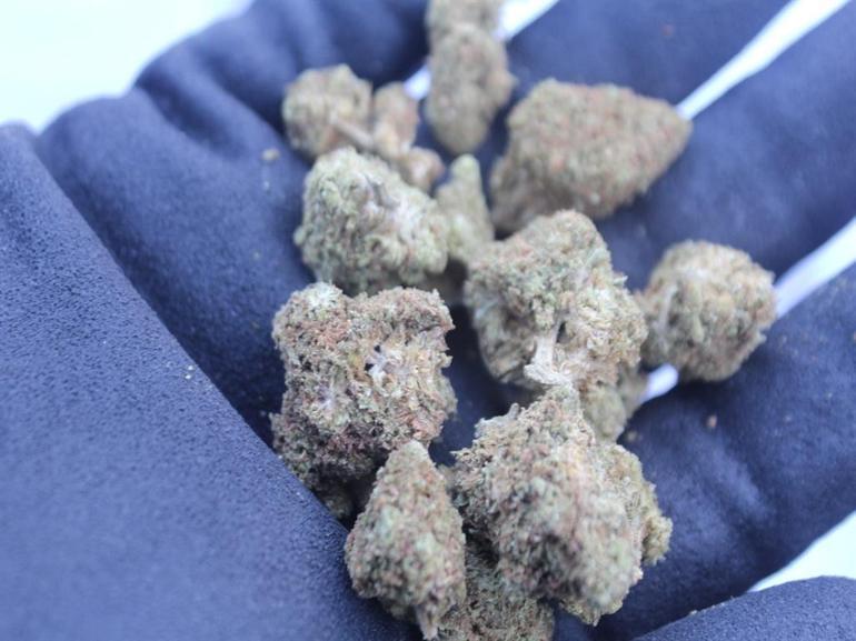 Edirne ve Tekirdağda 809 milyon liralık uyuşturucu ele geçirildi