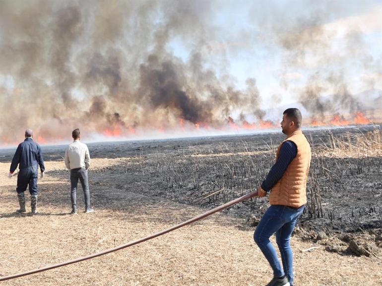 Yüksekovada Nehil Sazlığında yangın