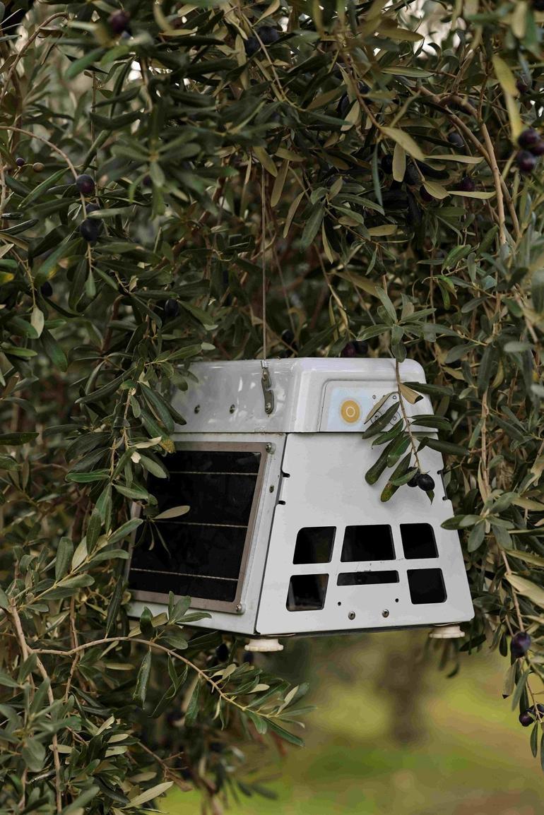 Cargillin 1000 Çiftçi 1000 Bereket programı yedinci yılında