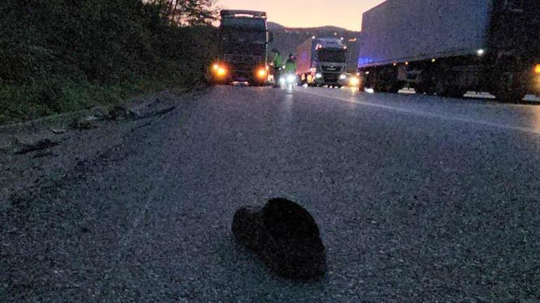 Patlayan lastiği değiştirirken, TIR’ın çarptığı sürücü öldü