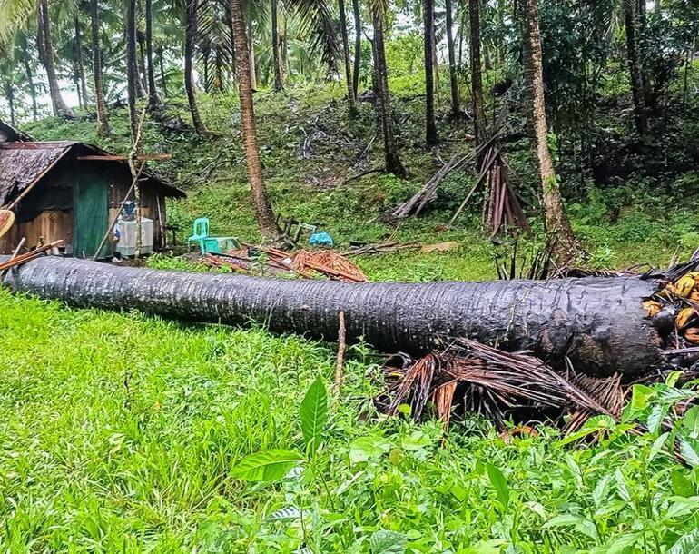 Filipinlerde tropik fırtına: 7 ölü