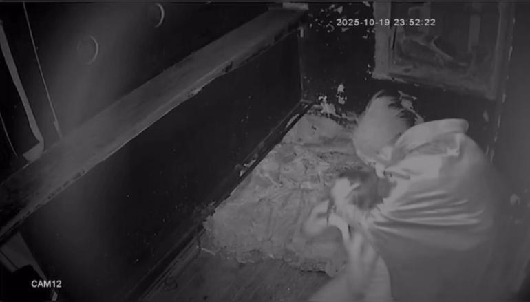 Taksim’de korku evinde kadını darbedip elektroşok cihazıyla çarptı