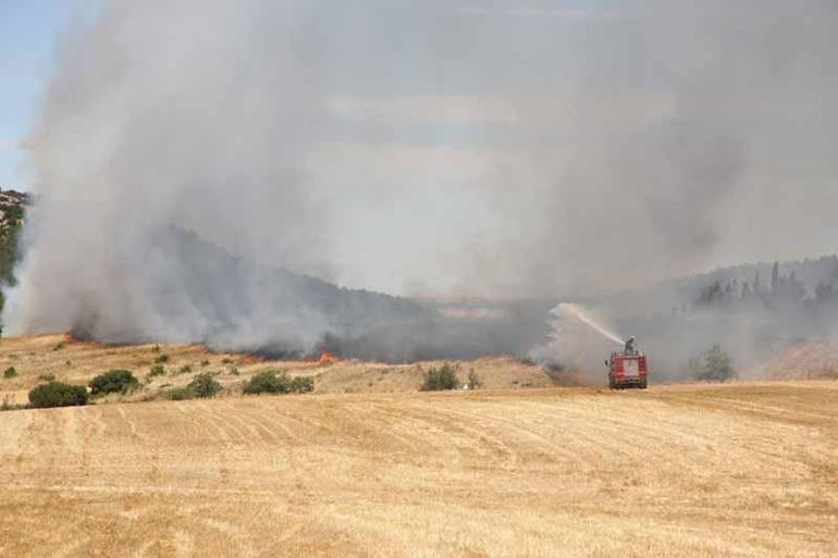 İpsala Kaymakamlığından anız yakanlara uyarı: Ceza kesmekten yorulduk