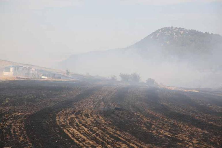 İpsala Kaymakamlığından anız yakanlara uyarı: Ceza kesmekten yorulduk