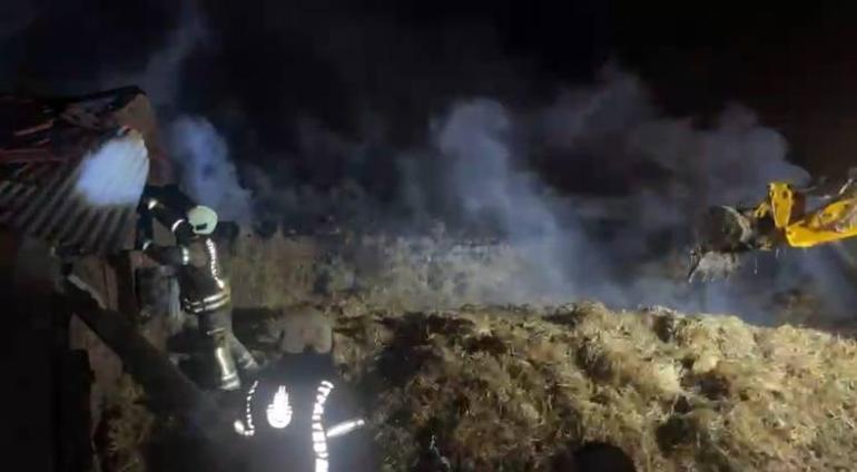 Çatalca’da ahırda yangın çıktı: 4 büyükbaş hayvan telef oldu