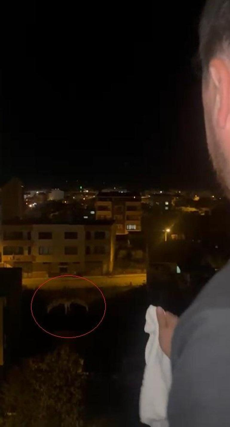 ‘Peçeli baykuş’, Bursada evin balkonuna girdi