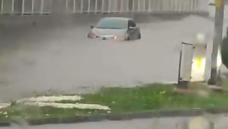 Aydın’da sağanak etkili oldu, sele kapılan 15 büyükbaş kurtarıldı; o anlar kamerada