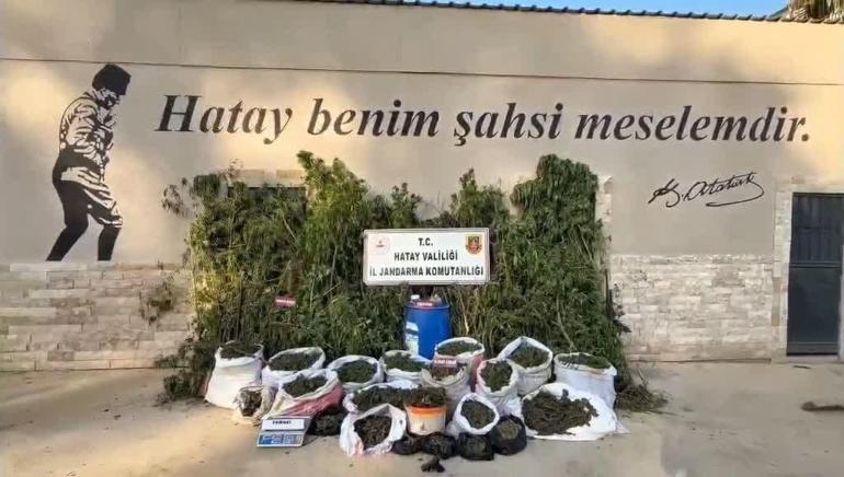 Hatay’da 89 kilo 200 gram esrar ve bin 876 kök kenevir ele geçirildi; 3 tutuklama