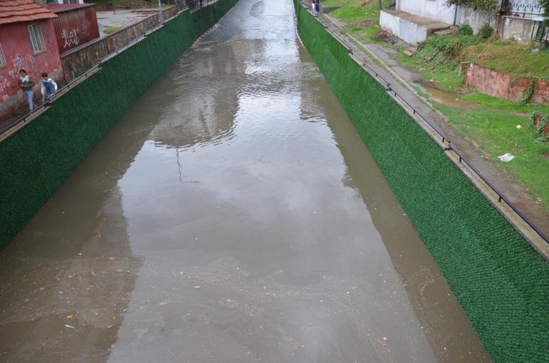 Aydın’da sağanak etkili oldu, sele kapılan 15 büyükbaş kurtarıldı; o anlar kamerada