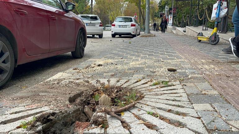 Bursada lodos etkili oldu; ağaçlar devrildi, çatılar uçtu