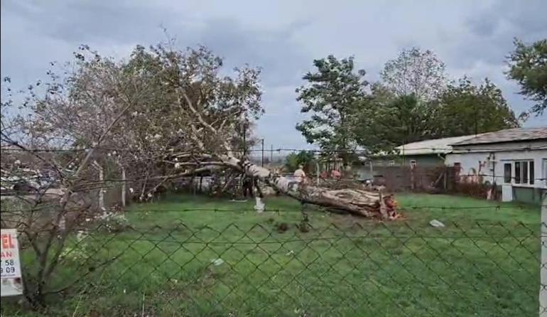 Bursada lodos etkili oldu; ağaçlar devrildi, çatılar uçtu