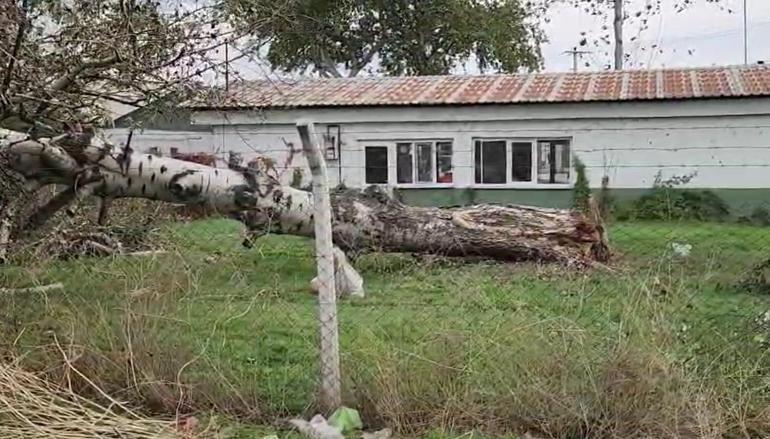 Bursada lodos etkili oldu; ağaçlar devrildi, çatılar uçtu