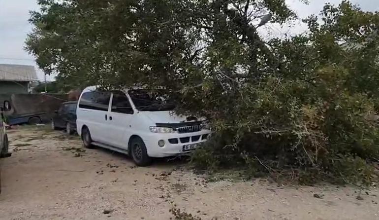 Bursada lodos etkili oldu; ağaçlar devrildi, çatılar uçtu
