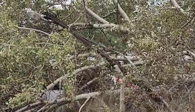 Bursada lodos etkili oldu; ağaçlar devrildi, çatılar uçtu