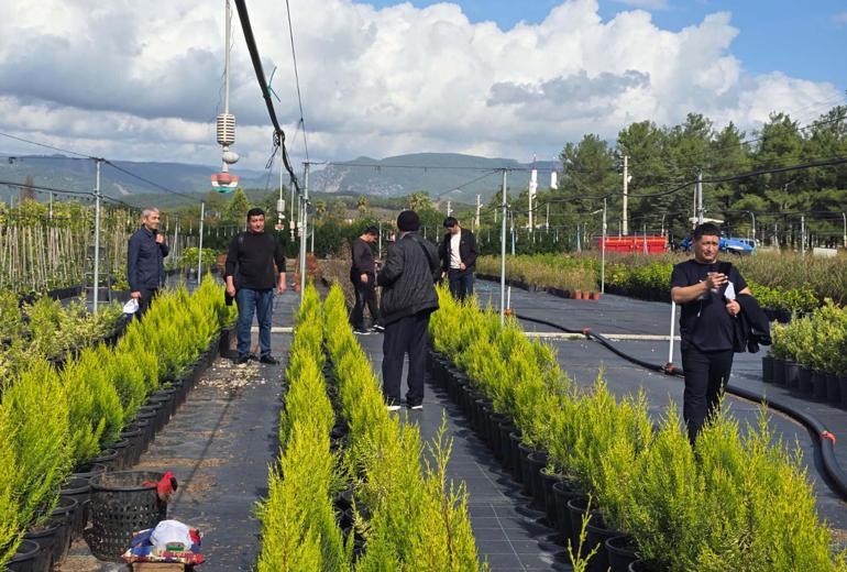 Muğlada Özbek ormancılardan teknik inceleme