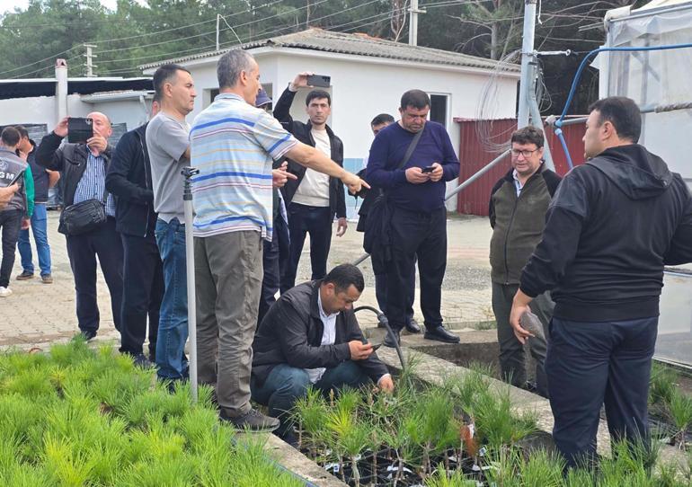 Muğlada Özbek ormancılardan teknik inceleme