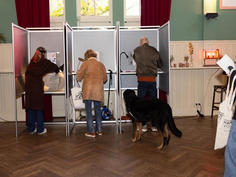 Hollandada sandık çıkış anketlerinin sonuçları açıklandı
