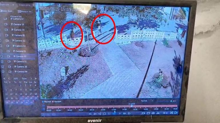 Mardin’de 2 çocuk parkın duvarını tekmeledi; o anlar kamerada