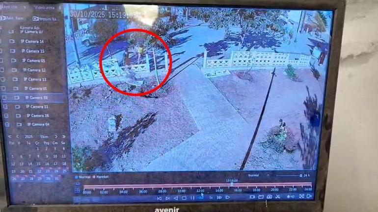 Mardin’de 2 çocuk parkın duvarını tekmeledi; o anlar kamerada