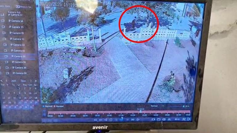 Mardin’de 2 çocuk parkın duvarını tekmeledi; o anlar kamerada