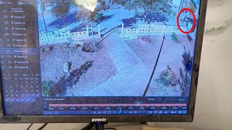 Mardin’de 2 çocuk parkın duvarını tekmeledi; o anlar kamerada