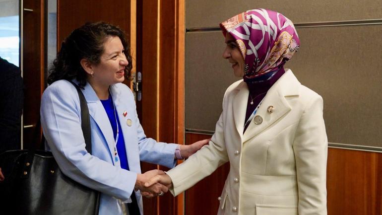 Bakan Göktaş, Şilili mevkidaşı Toro Caceres ile görüştü