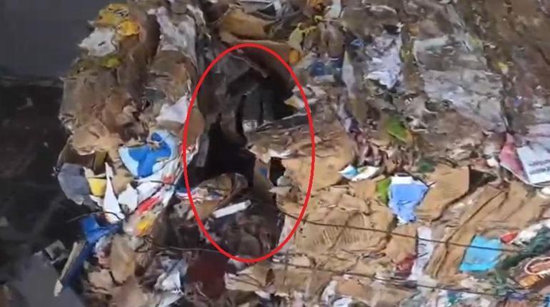 Preslenmiş atık kağıtların arasında kaçak sigara taşıyan 2 şüpheli yakalandı