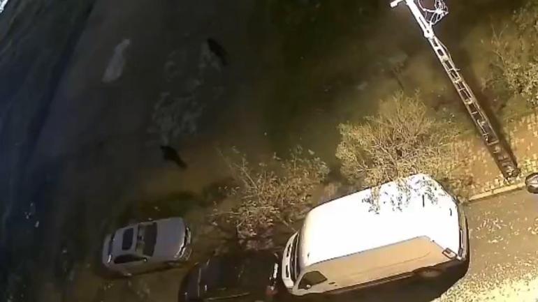 Sultangazide park halindeki otomobili yaklaşık 2 dakikada soydular; hırsızlık kamerada