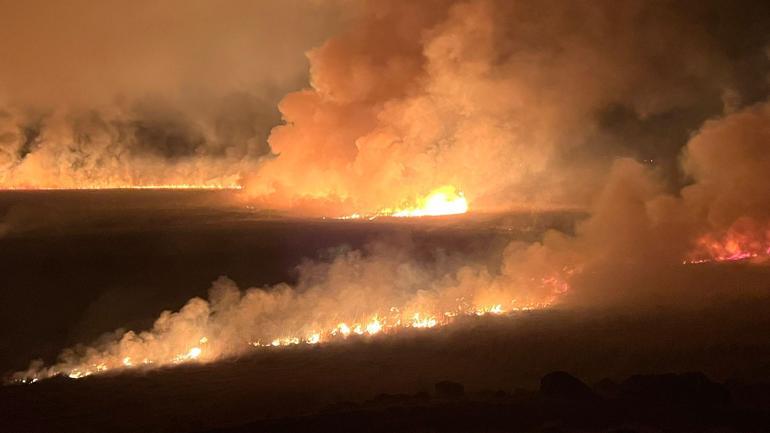 Yüksekovadaki Nehil Sazlığında yangın