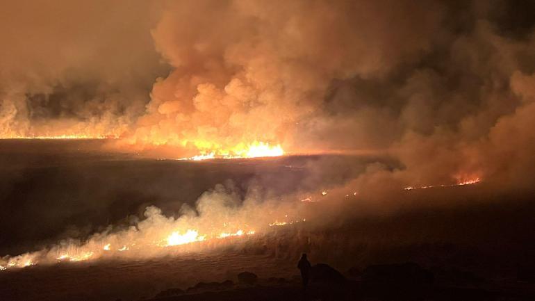 Yüksekovadaki Nehil Sazlığında yangın