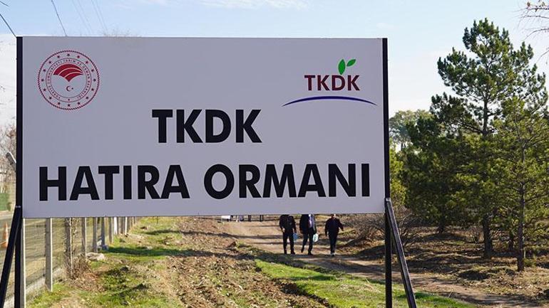 Ankarada TKDK Hatıra Ormanı oluşturuldu