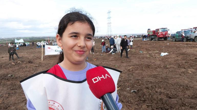 Milli Ağaçlandırma Gününde Silivride 15 bin fidan dikildi