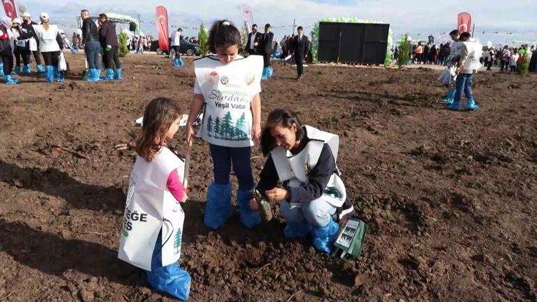 Milli Ağaçlandırma Gününde Silivride 15 bin fidan dikildi