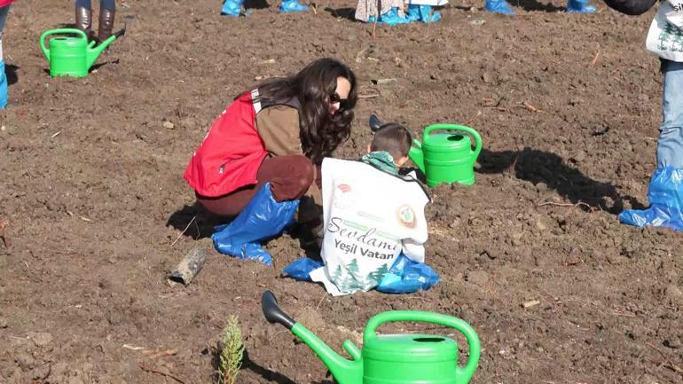 Milli Ağaçlandırma Gününde Silivride 15 bin fidan dikildi